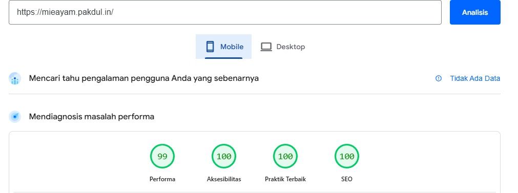 Bagaimana situs kami Mencapai Skor PageSpeed 100%?